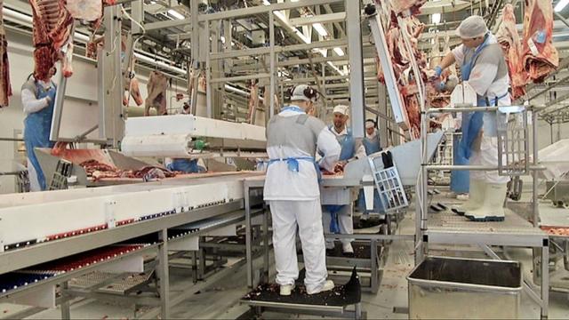 raznorabochiy-na-proizvodstvo-lenta