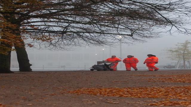 trebuetsya-dvornik-opyt-raboty-ne-obyazatelen-horoshie-usloviya-truda-oformlenie-po-tk-rf